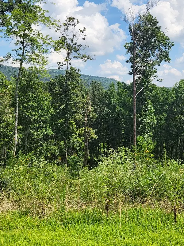 Ellijay, GA 30540,Lot 131 Lot 131 Twisted Oak