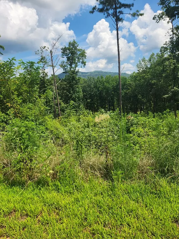 Ellijay, GA 30540,Lot 131 Lot 131 Twisted Oak