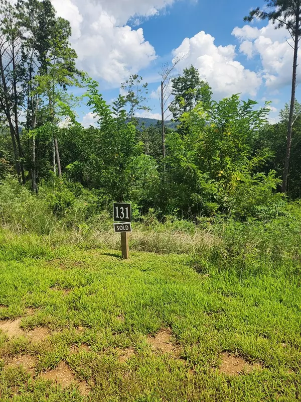 Ellijay, GA 30540,Lot 131 Lot 131 Twisted Oak