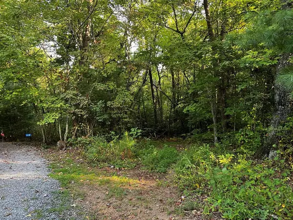 Blue Ridge, GA 30513,Lot 5 Thrasher Drive