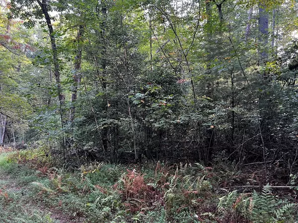 Blue Ridge, GA 30513,Lot 5 Thrasher Drive