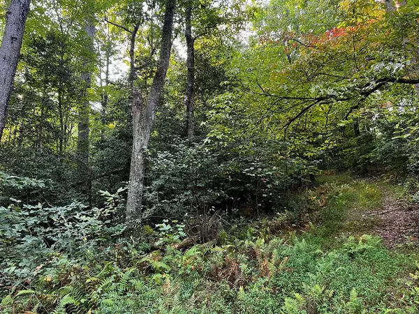 Blue Ridge, GA 30513,Lot 5 Thrasher Drive