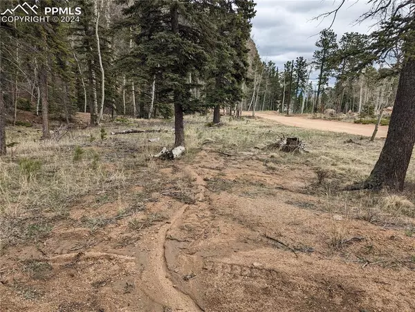 Manitou Springs, CO 80829,146 Waterfall LOOP