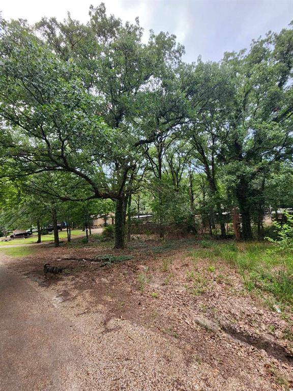 Gun Barrel City, TX 75156,TBD lot 774 Doe Run Road