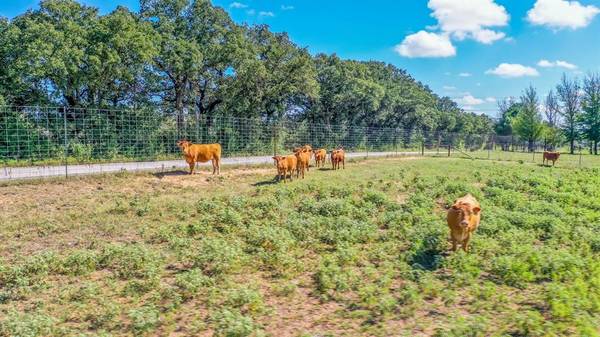 Rising Star, TX 76471,TBD County Road 290