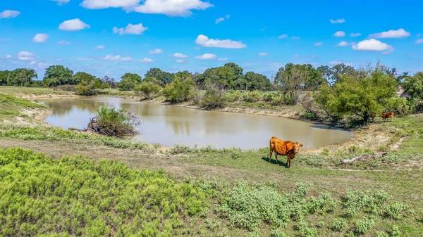 Rising Star, TX 76471,TBD County Road 290