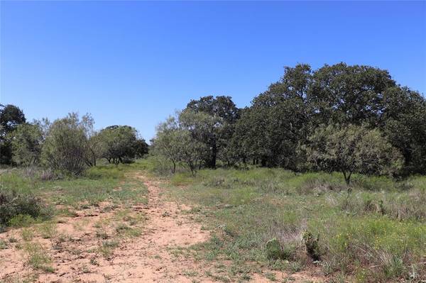 15 Ac. TBD, Tract 2 County Road 186, Gorman, TX 76454