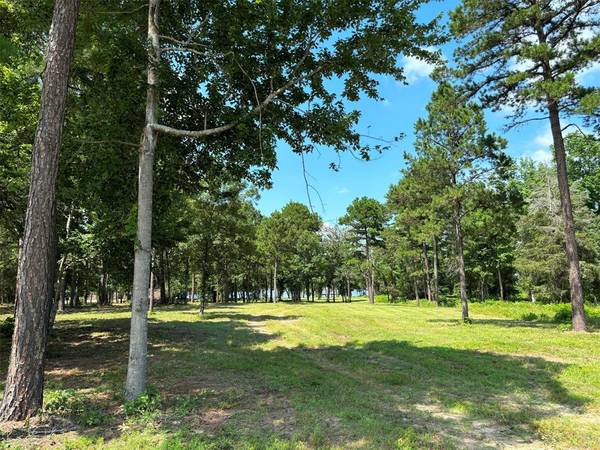 Larue, TX 75770,3148 Shadow Pine Drive