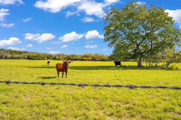 Stephenville, TX 76401,5850 County Road 163