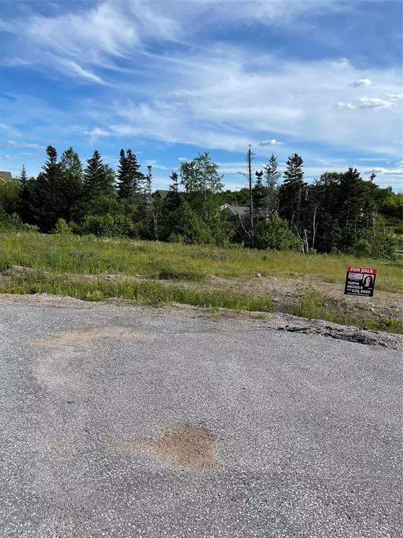 8A Jacks Place, Deer Lake, NL A8A 0B6