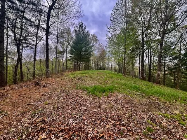 Murphy, NC 28906,TR1-23 Majestic Mountain Trail