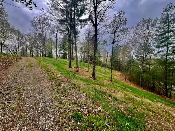 Murphy, NC 28906,TR1-22 Majestic Mountain Trail