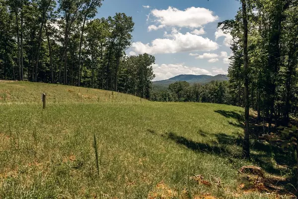 Lot 133 Ridges Of Blue Ridge, Morganton, GA 30560