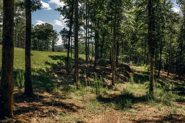 Morganton, GA 30560,Lot 133 Ridges Of Blue Ridge