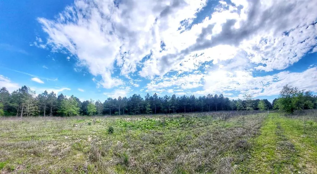 Frierson, LA 71027,0 Gravel Point Road