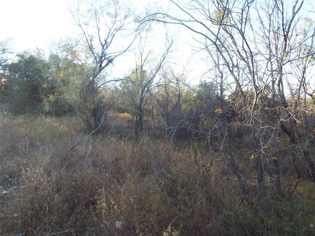 Brownwood, TX 76801,TBD Clifden Drive