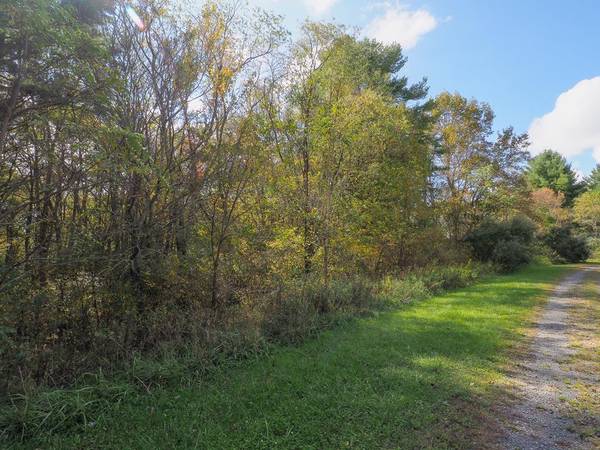 TBD Blue Lake Ln (Lot #40), Laurel Fork, VA 24352