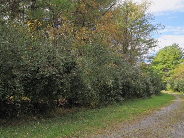 TBD Blue Lake Ln (Lot #36), Laurel Fork, VA 24352