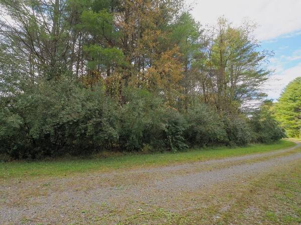 Laurel Fork, VA 24352,TBD Blue Lake Ln (Lot #36)