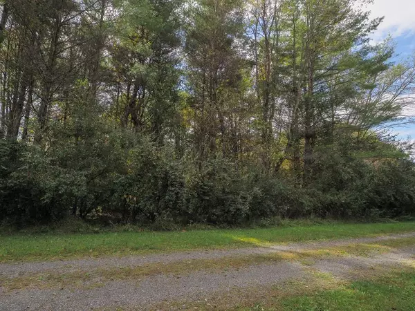 Laurel Fork, VA 24352,TBD Blue Lake Ln (Lot #36)