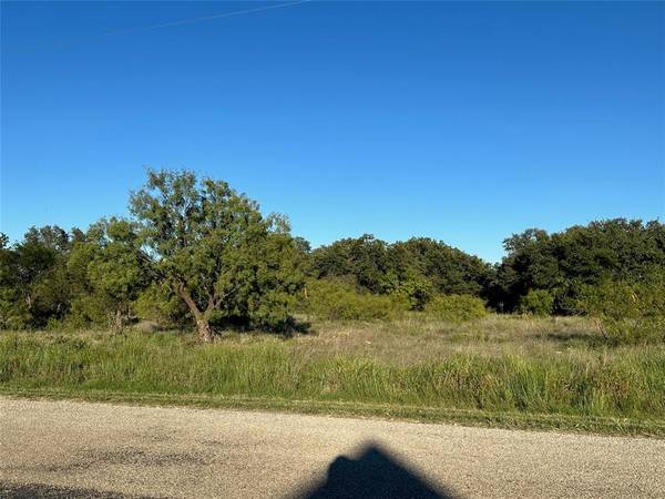 Brownwood, TX 76801,263 Feather Bay Drive