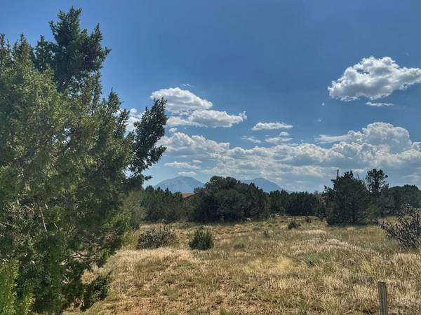 Walsenburg, CO 81089,Lot 70 Spanish Peaks Village