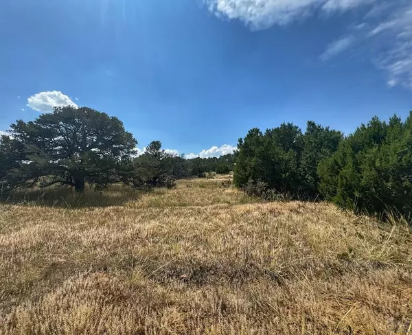 Walsenburg, CO 81089,Lot 70 Spanish Peaks Village