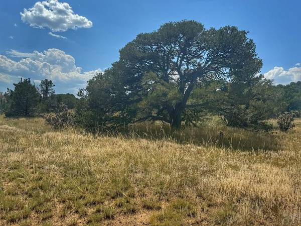 Walsenburg, CO 81089,Lot 70 Spanish Peaks Village