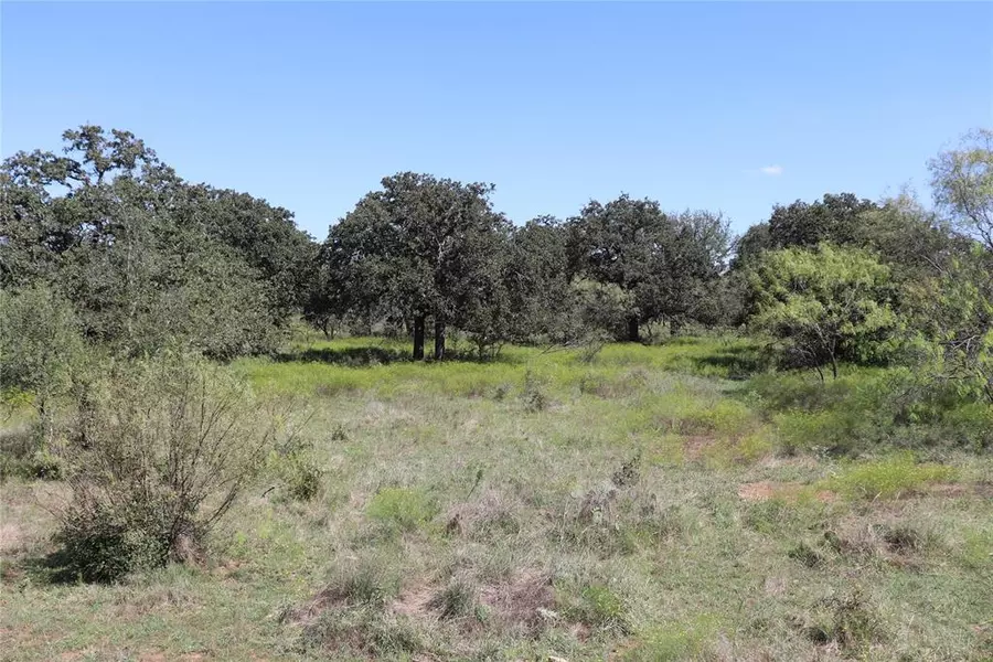 15 Ac. TBD, tract 4 County Road 186, Gorman, TX 76454