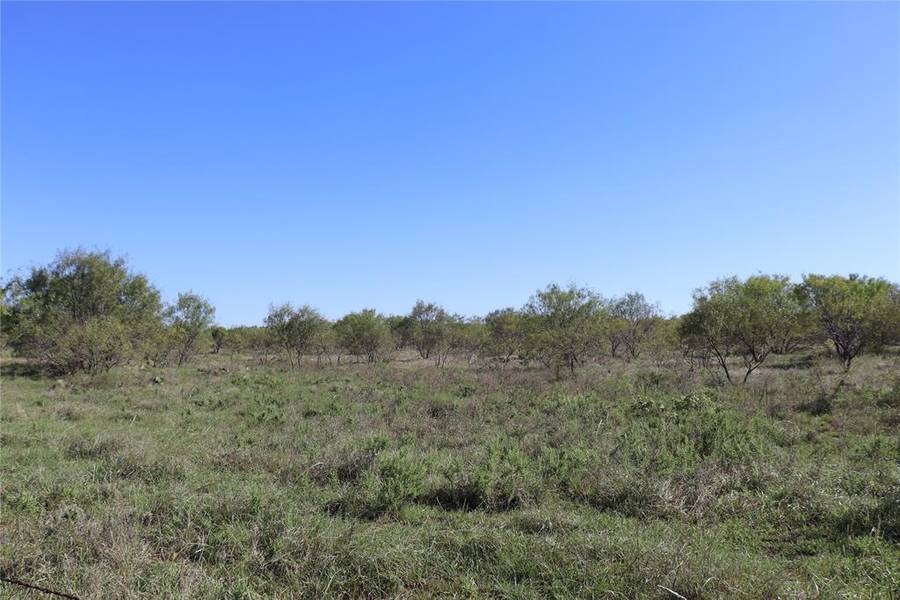 15 Ac. TBD, tract 6 County Road 195, Gorman, TX 76454