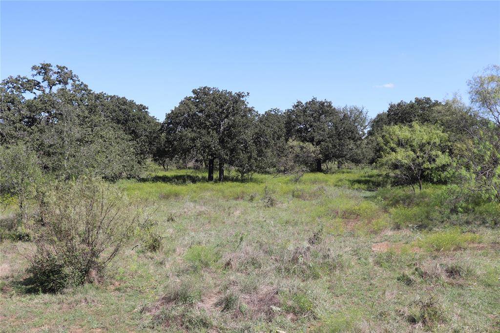 Gorman, TX 76454,15 Ac. TBD, tract 4 County Road 186