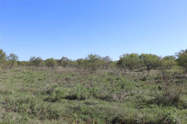 Gorman, TX 76454,15 Ac. TBD, tract 4 County Road 186