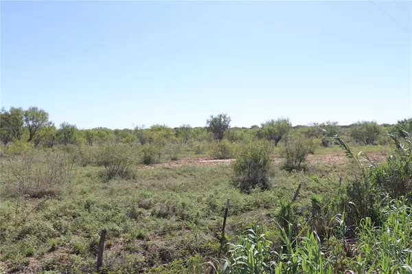 Gorman, TX 76454,15 Ac. TBD, tract 4 County Road 186