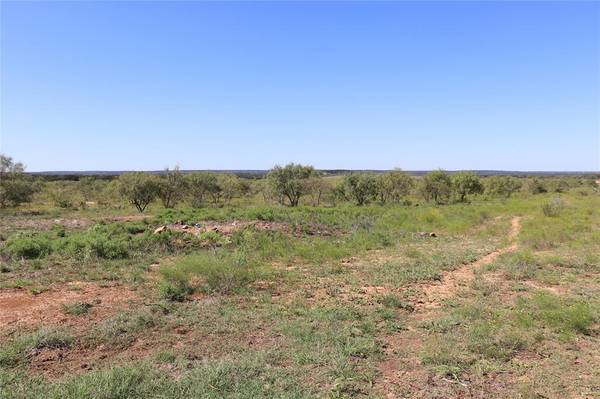 Gorman, TX 76454,15 Ac. TBD, tract 5 County Road 195