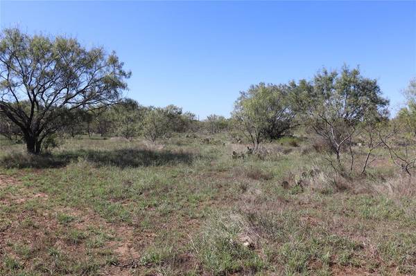 Gorman, TX 76454,15 Ac. TBD, tract 5 County Road 195