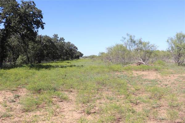 Gorman, TX 76454,15 Ac. TBD, tract 5 County Road 195