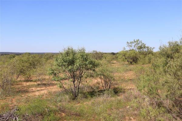 Gorman, TX 76454,15 Ac. TBD, tract 6 County Road 195