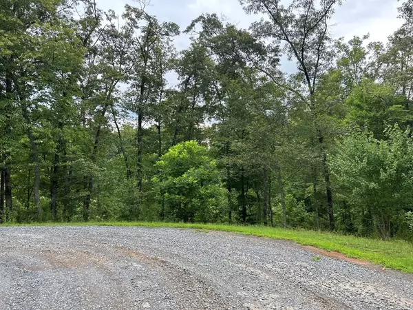 Mineral Bluff, GA 30559,Lot 195 Trails End Way