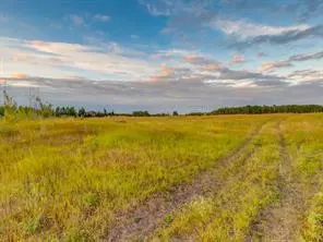 Rural Foothills County, AB T1S 2X4,88075 206 AVE SW