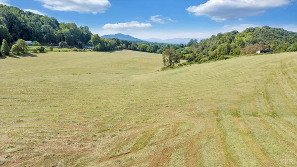 Troutville, VA 24175,0 Mountain Pass RD