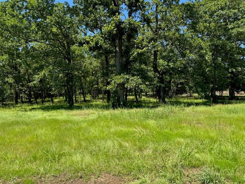 TBD CR 43340, Paris, TX 75462