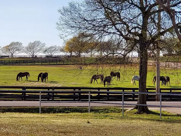 Pilot Point, TX 76258,11552 Massey Road