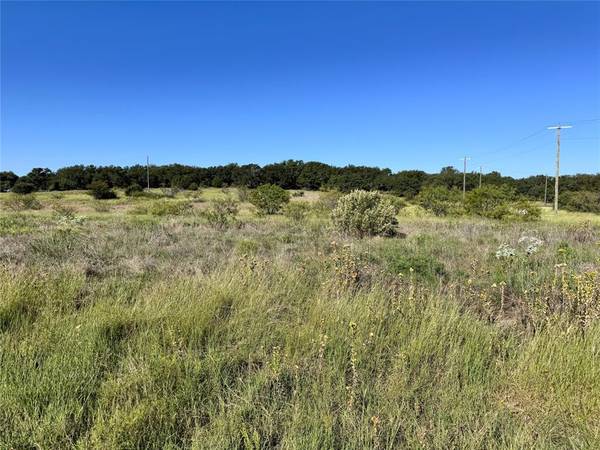 Brownwood, TX 76801,TBD Lot 839 Feather Bay Boulevard