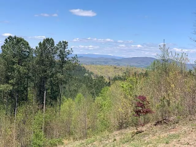 Blairsville, GA 30512,Lot 84 Ridge Peak View