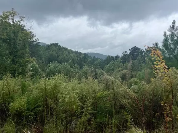 Blairsville, GA 30512,Lot 84 Ridge Peak View