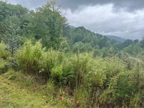 Blairsville, GA 30512,Lot 84 Ridge Peak View