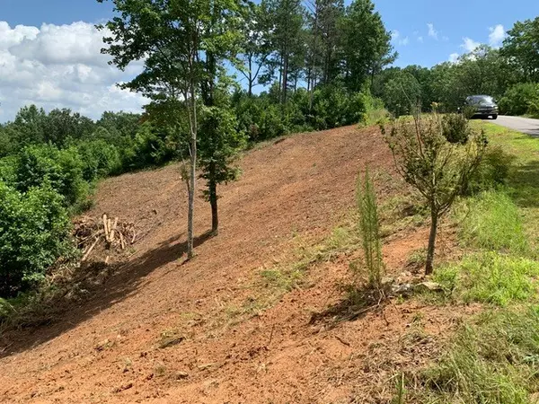 Blairsville, GA 30512,Lot 84 Ridge Peak View