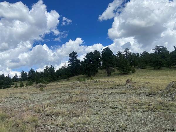 Guffey, CO 80820,2138 Julia Road