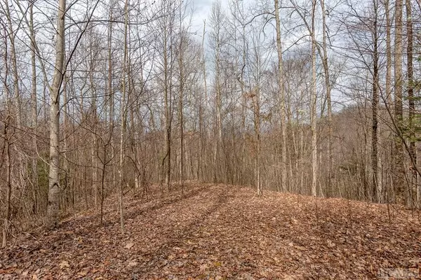 Lot 62 Pilot Knob Road, Glenville, NC 28736