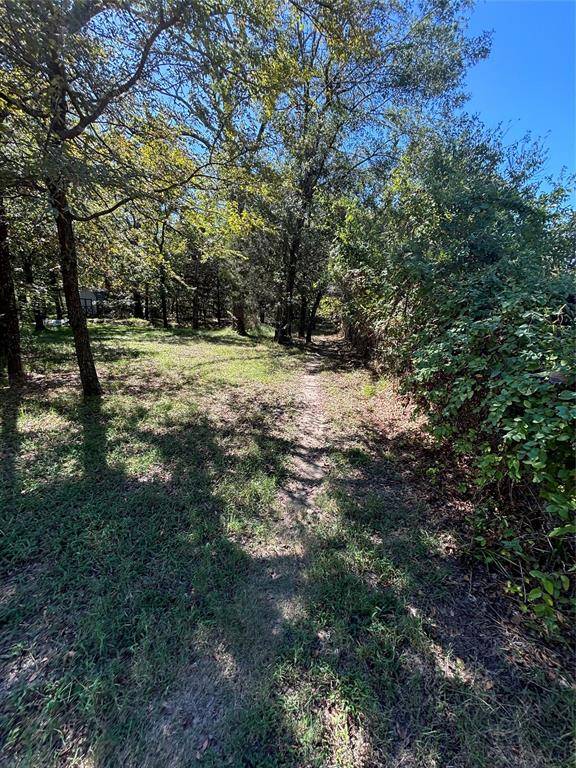 Hawk Cove, TX 75474,TBD Nada Street